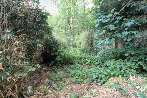 Click the photo for more details of Netherfield, Battle, East Sussex
