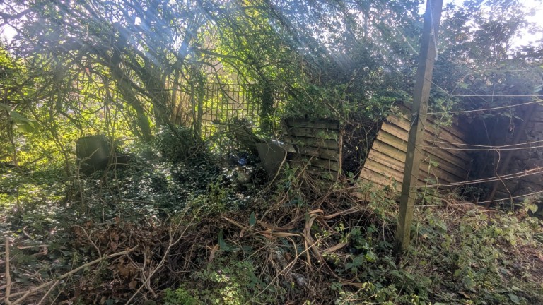 Images for Wookey Hole, Nr Wells, Somerset