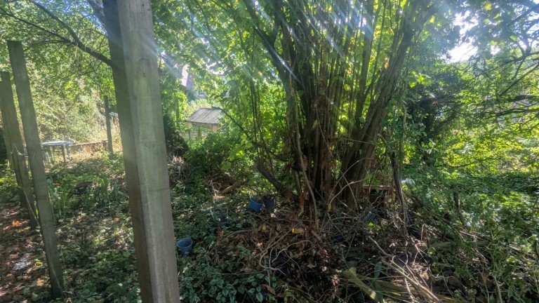 Images for Wookey Hole, Nr Wells, Somerset