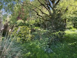 Images for Parkway, Midsomer Norton, Radstock, Somerset