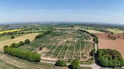 Images for Wells, Somerset