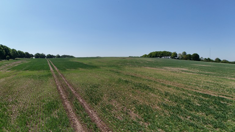 Images for Wells, Somerset
