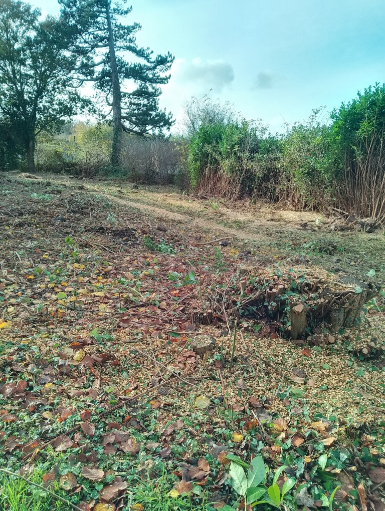 Images for With full planning, Westbury Leigh, Wiltshire