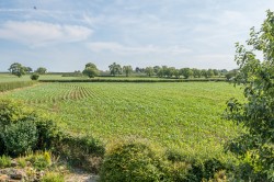 Images for Northbrook Road, Shapwick, Somerset