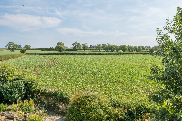 Images for Northbrook Road, Shapwick, Somerset