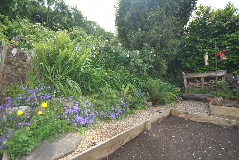 Images for High Street, Banwell