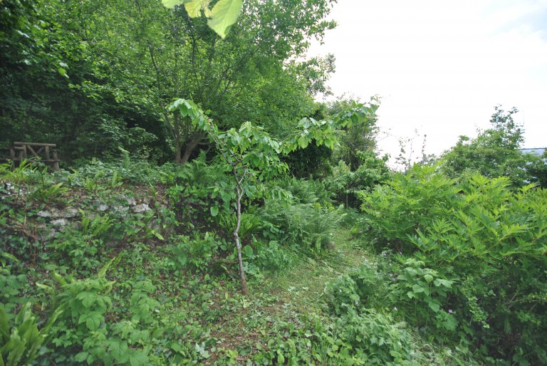 Images for High Street, Banwell