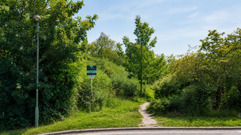 Images for Ringwood , BH24