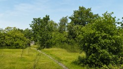 Images for Ringwood , BH24