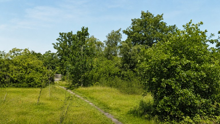 Images for Ringwood , BH24