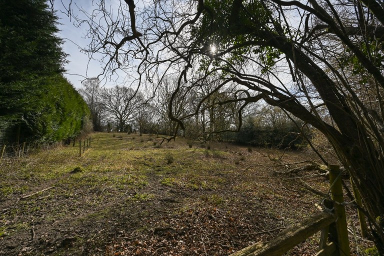 Images for Furze Hill, Fordingbridge, SP6