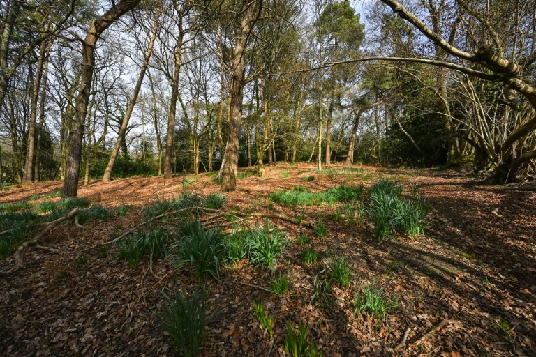 Images for Furze Hill, Fordingbridge, SP6