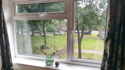 Images for Charter Way, Wells, Somerset