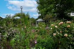 Images for The Common, Woodgreen, Fordingbridge, SP6