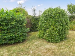 Images for Kings Castle Road, Wells, Somerset