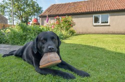 Images for Hinton Blewett, Bristol, Somerset