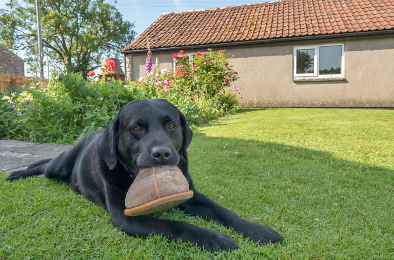 Images for Hinton Blewett, Bristol, Somerset