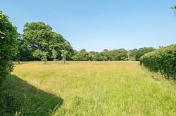 Images for Rhinefield Road, Brockenhurst, SO42