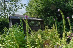 Images for Chapel Lane, East Boldre, Brockenhurst, SO42