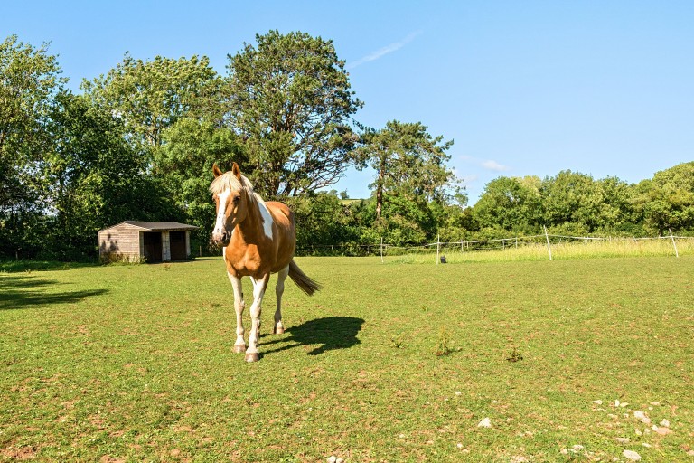 Images for East Harptree, Bristol, Somerset