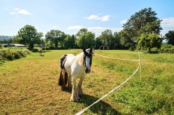 Images for East Harptree, Bristol, Somerset