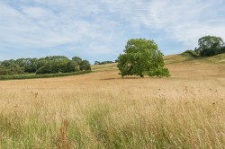 Images for Henton, Nr Wells