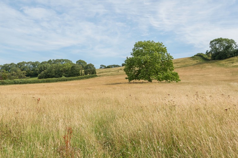 Images for Henton, Nr Wells