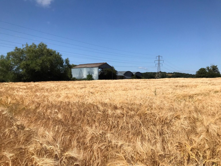 Images for Nythe, Greinton, Somerset