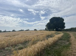 Images for Nythe, Greinton, Somerset