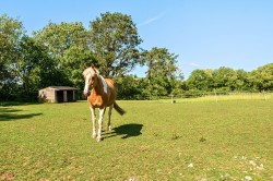Images for East Harptree, Bristol, Somerset