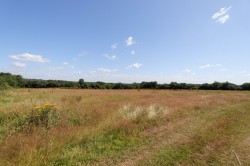 Images for The Green, Ninfield, East Sussex