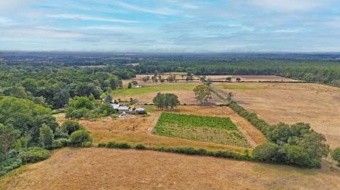 Click the photo for more details of Avon Tyrrell, Bransgore, BH23