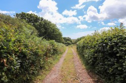 Images for Straight Lane, Hooe, East Sussex