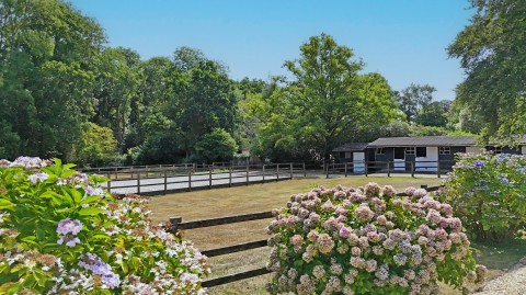 Click the photo for more details of Honey Lane, Burley, Ringwood, BH24