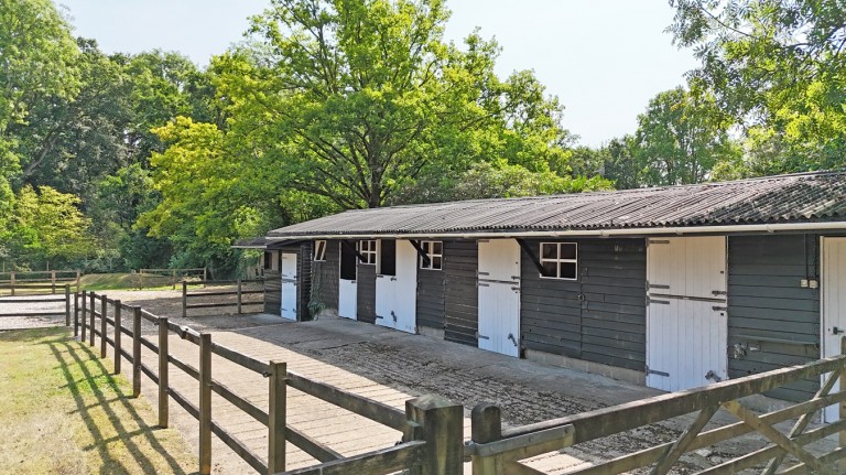 Images for Honey Lane, Burley, Ringwood, BH24