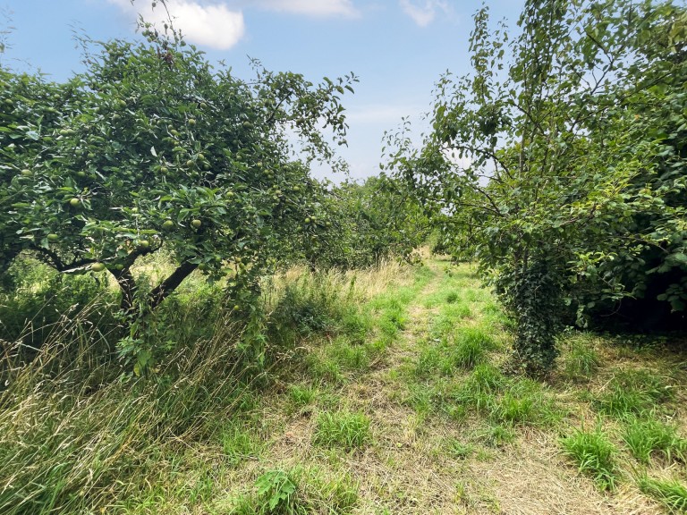 Images for Galhampton, Castle Cary, Somerset