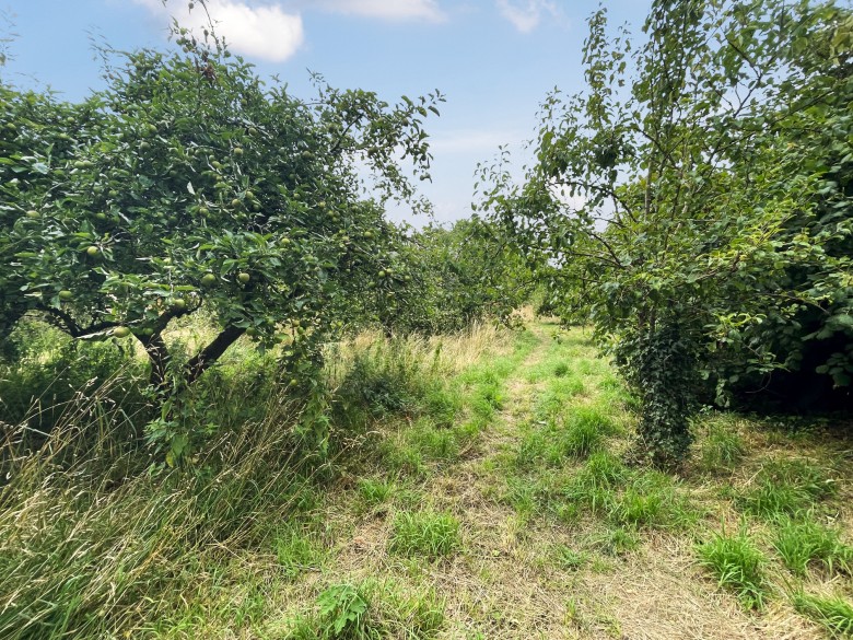 Click the photo for more details of Galhampton, Castle Cary, Somerset