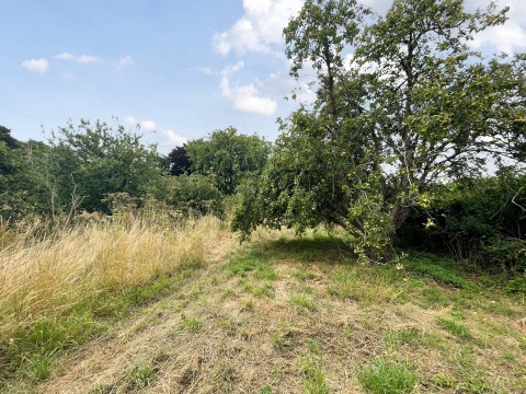 Click the photo for more details of Galhampton, Castle Cary, Somerset