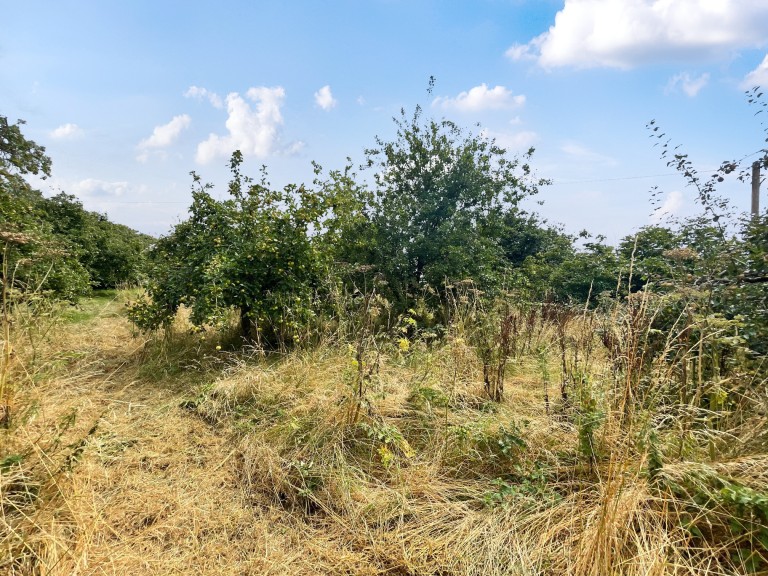 Images for Galhampton, Castle Cary, Somerset