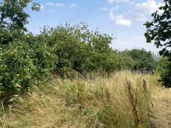 Images for Galhampton, Castle Cary, Somerset