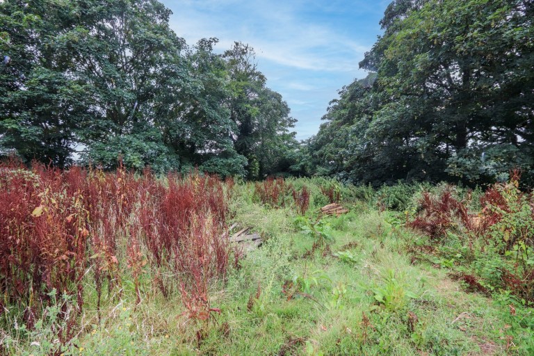 Images for East Sussex, BEXHILL-ON-SEA