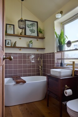 Images for Bagley, Wedmore