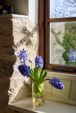 Images for Bagley, Wedmore