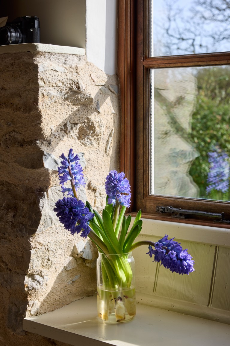 Images for Bagley, Wedmore