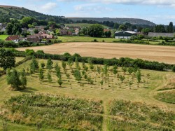 Images for Cowleaze Lane, Edington Westbury