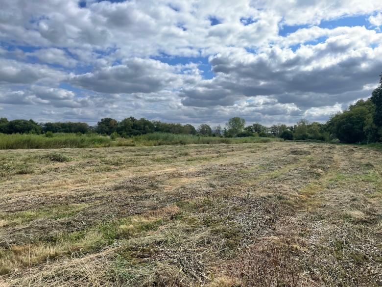 Click the photo for more details of Westhay Moor, Westhay, Somerset