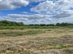 Images for Westhay Moor, Westhay, Somerset