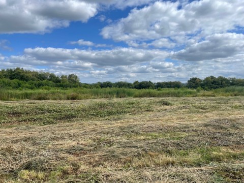 Click the photo for more details of Westhay Moor, Westhay, Somerset