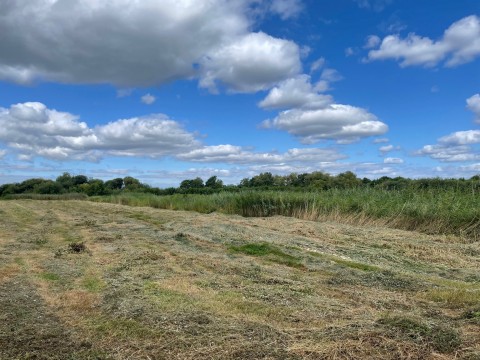 Click the photo for more details of Westhay Moor, Westhay, Somerset