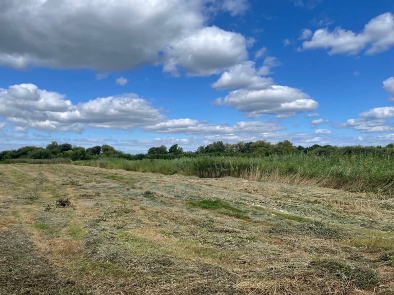 Images for Westhay Moor, Westhay, Somerset